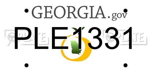 PLE1331 Georgia License Plate
