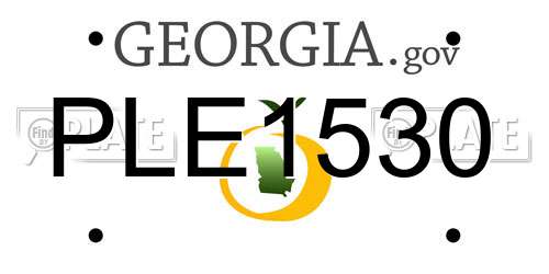PLE1530 Georgia License Plate