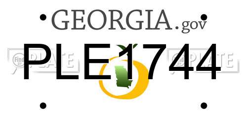 PLE1744 Georgia License Plate