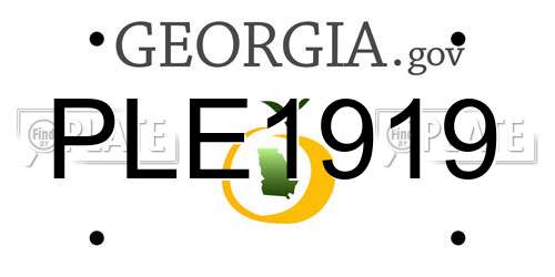 PLE1919 Georgia License Plate