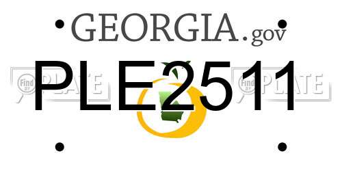 PLE2511 Georgia License Plate