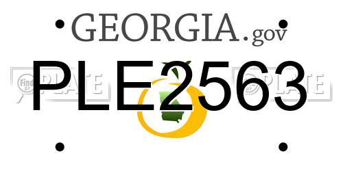 PLE2563 Georgia License Plate