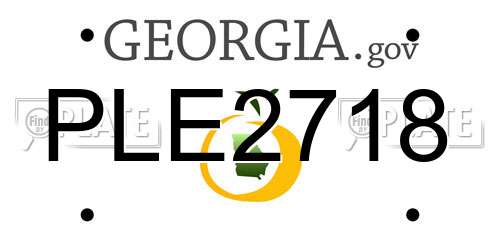 PLE2718 Georgia License Plate