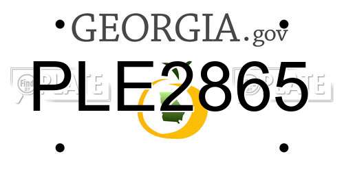 PLE2865 Georgia License Plate