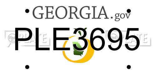PLE3695 Georgia License Plate
