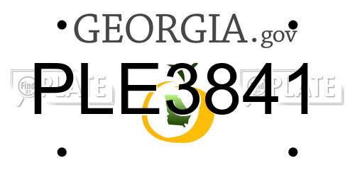 PLE3841 Georgia License Plate