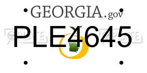 PLE4645 Georgia License Plate