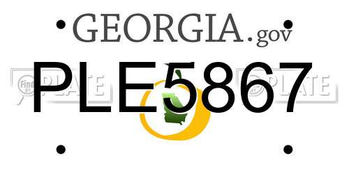 PLE5867 Georgia License Plate