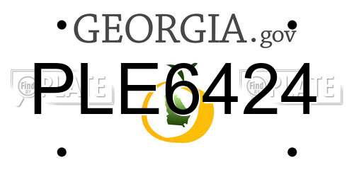PLE6424 Georgia License Plate