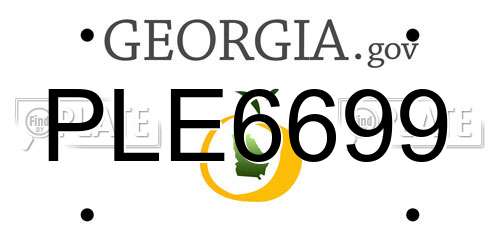 PLE6699 Georgia License Plate