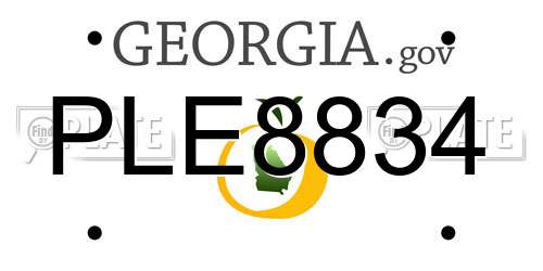 PLE8834 Georgia License Plate