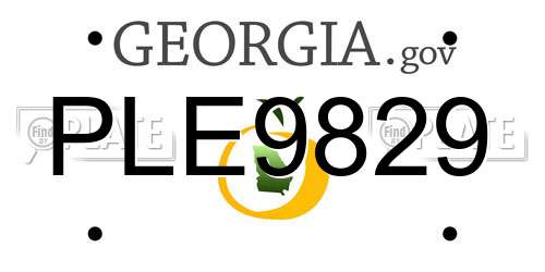PLE9829 Georgia License Plate