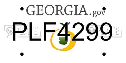 PLF4299 Georgia License Plate