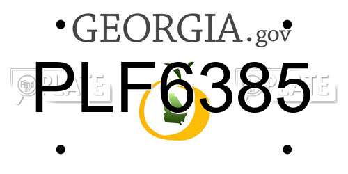 PLF6385 Georgia License Plate