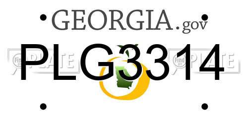 PLG3314 Georgia License Plate