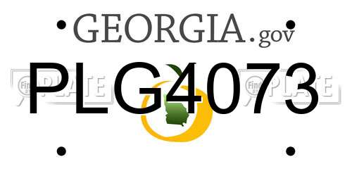 PLG4073 Georgia License Plate