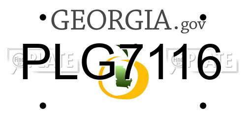PLG7116 Georgia License Plate