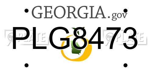 PLG8473 Georgia License Plate
