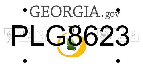 PLG8623 Georgia License Plate