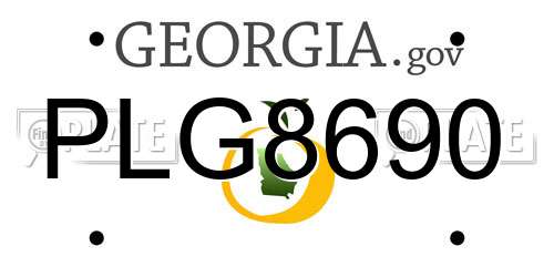 PLG8690 Georgia License Plate
