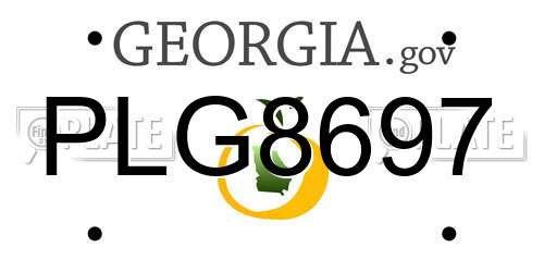 PLG8697 Georgia License Plate