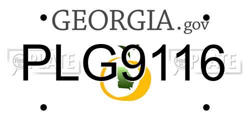 PLG9116 Georgia License Plate