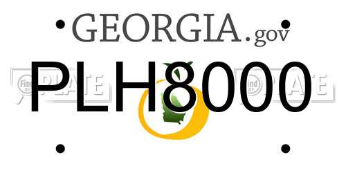 PLH8000 Georgia License Plate