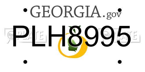 PLH8995 Georgia License Plate