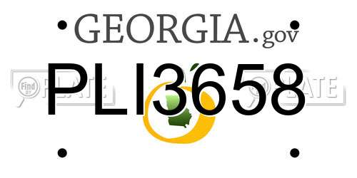 PLI3658 Georgia License Plate