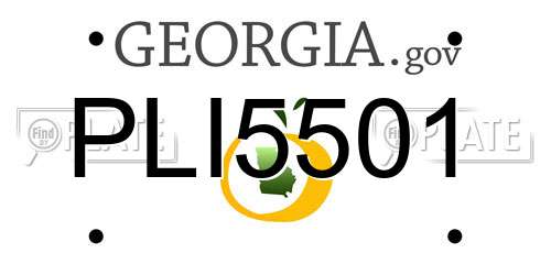 PLI5501 Georgia License Plate