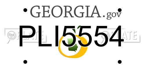 PLI5554 Georgia License Plate