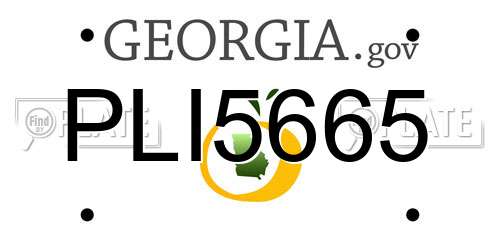 PLI5665 Georgia License Plate