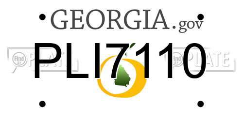 PLI7110 Georgia License Plate