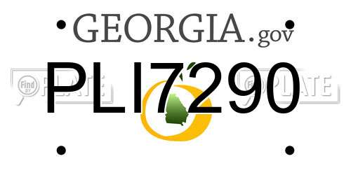 PLI7290 Georgia License Plate