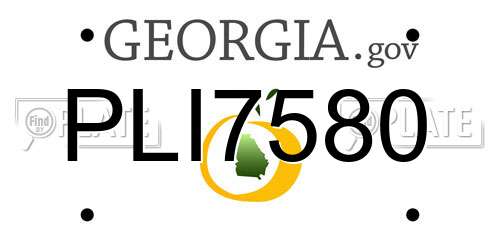 PLI7580 Georgia License Plate