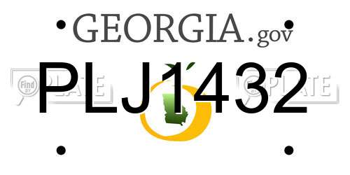 PLJ1432 Georgia License Plate