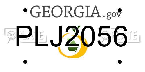 PLJ2056 Georgia License Plate