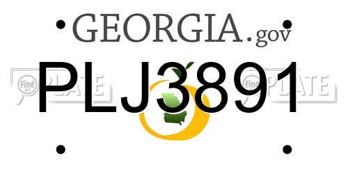PLJ3891 Georgia License Plate