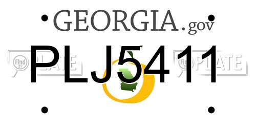 PLJ5411 Georgia License Plate