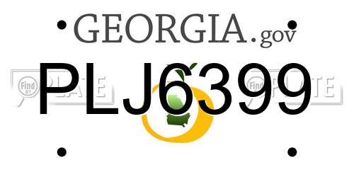PLJ6399 Georgia License Plate