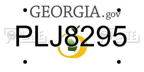 PLJ8295 Georgia License Plate