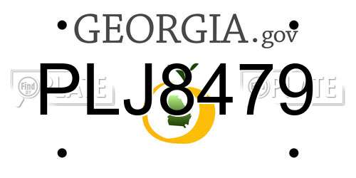 PLJ8479 Georgia License Plate