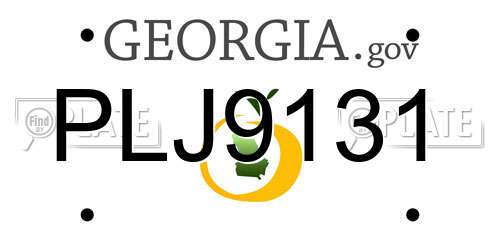 PLJ9131 Georgia License Plate