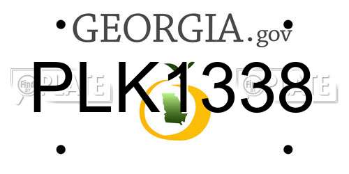 PLK1338 Georgia License Plate