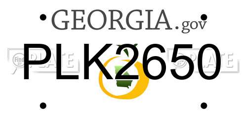 PLK2650 Georgia License Plate