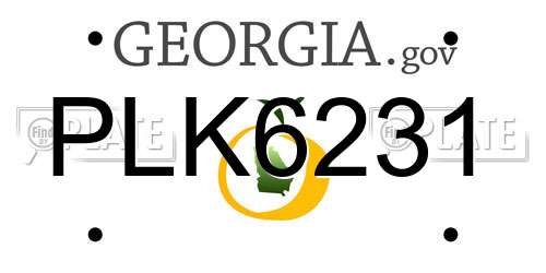 PLK6231 Georgia License Plate