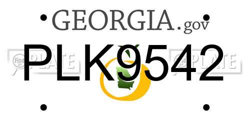 PLK9542 Georgia License Plate