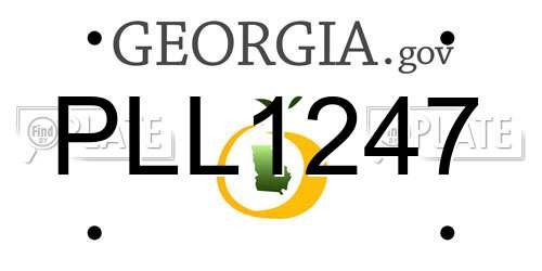 PLL1247 Georgia License Plate