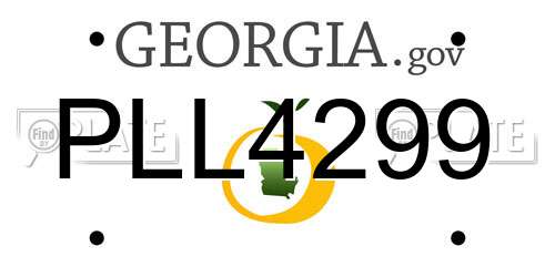 PLL4299 Georgia License Plate