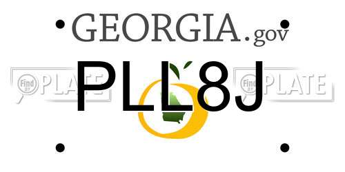 PLL8J Georgia License Plate